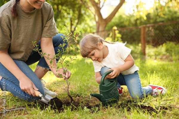Fototapeta Mother and her daughter planting tree together in garden