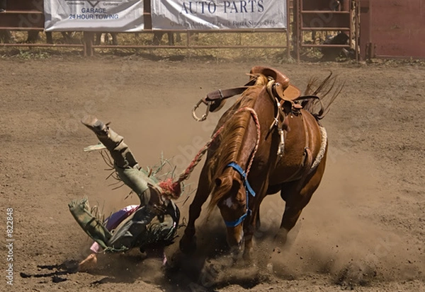 Obraz bronc rider takes a fall