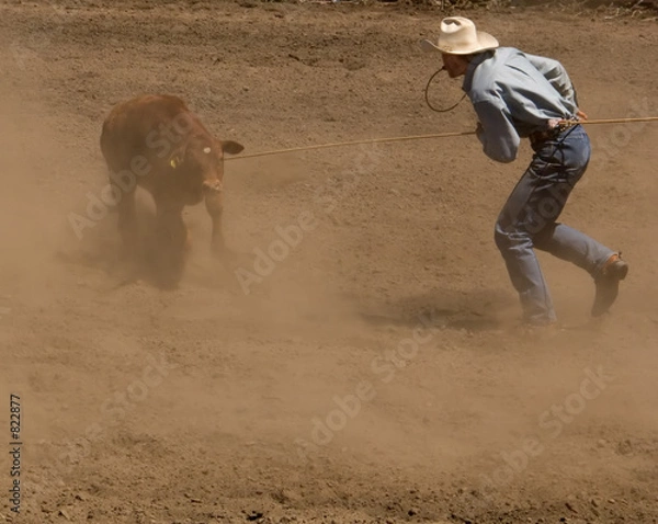 Obraz calf roper gets ready for tie