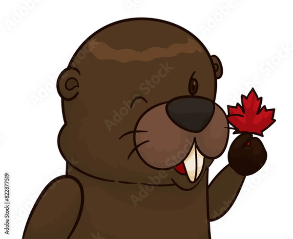 Fototapeta Winking beaver holding a maple leaf in cartoon style, Vector illustration
