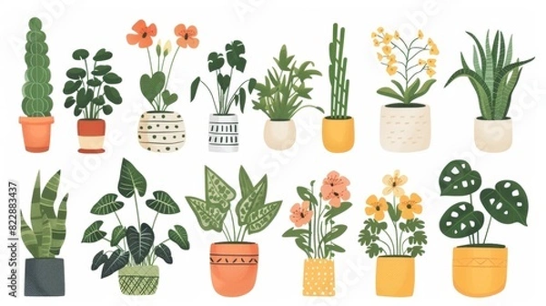 Fototapeta A flat 2D illustrated set of different plants in pots, featuring indoor flowers in planters, flowerpots, or vases. These houseplants include begonia and alocasia, isolated on a white background,