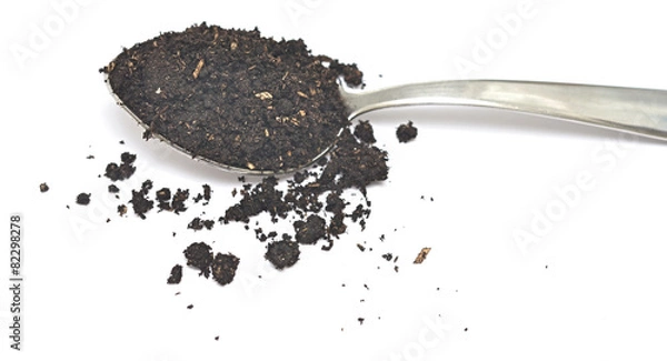 Obraz spoon with soil