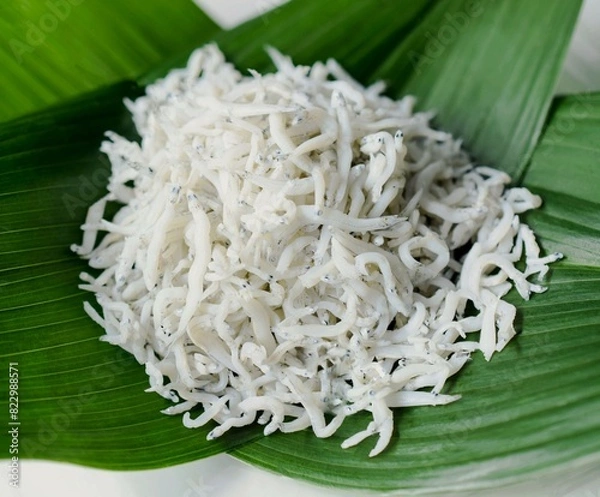 Fototapeta 釜揚げシラス、釜揚げしらす、静岡県産しらす、ハランに載せた釜揚げシラス、葉ランに載せたシラス