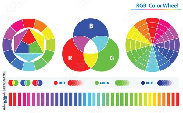 Fototapeta Set of color palette diagram isolated. 3D Illustration