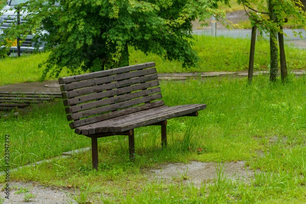 Obraz 公園のベンチと芝生のある風景