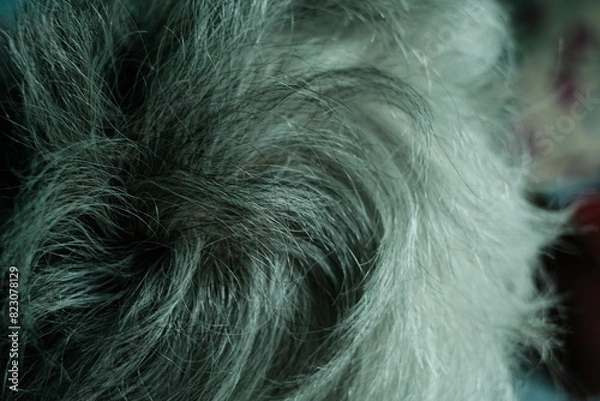 Fototapeta background image of The hair of the elderly has started to turn gray.