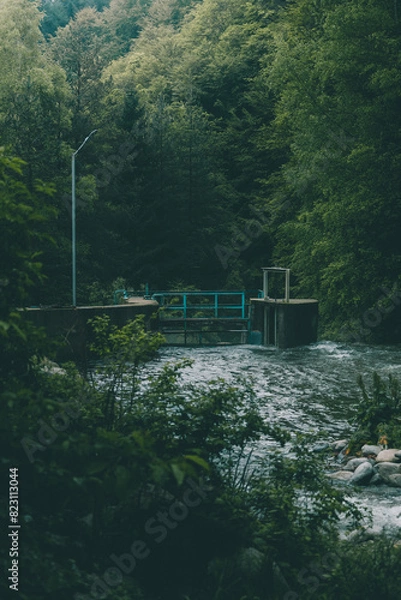 Fototapeta Old bridge over a river in a beech forest with bushes in the foreground and light pole.