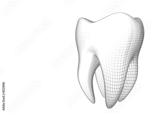 Obraz ząb trzonowy