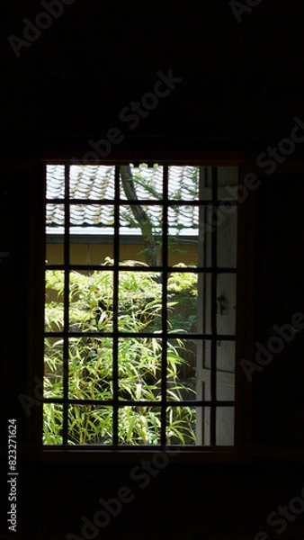 Obraz Window with plants and greenery in the background