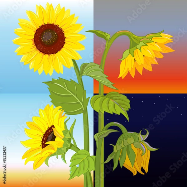 Fototapeta Sequence days