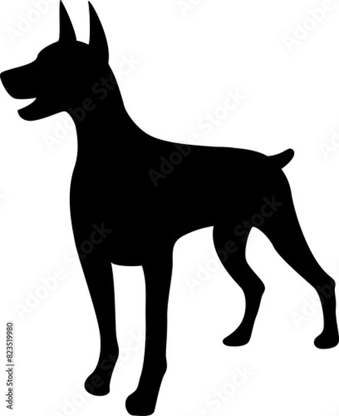 Obraz Doberman dog silhouette. Vector illustration