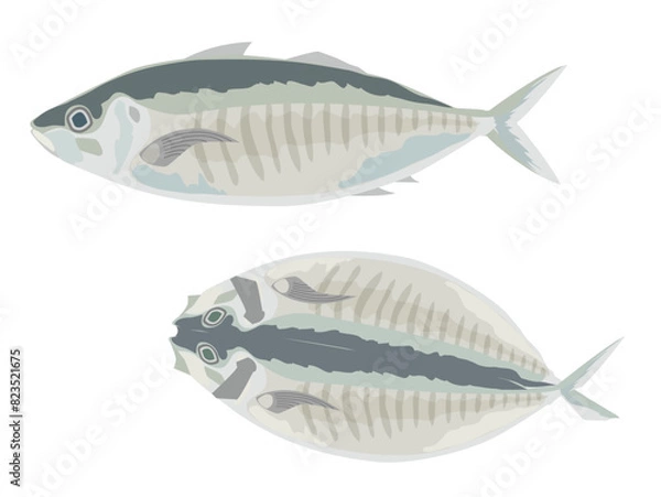 Obraz あじとあじの開き