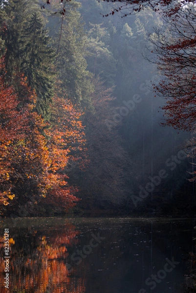 Fototapeta Autumn in The Saxon Switzerland National Park, or Nationalpark Sächsische Schweiz in Germany. Fall colors. 