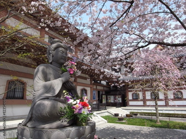 Obraz 鎌倉　長谷寺