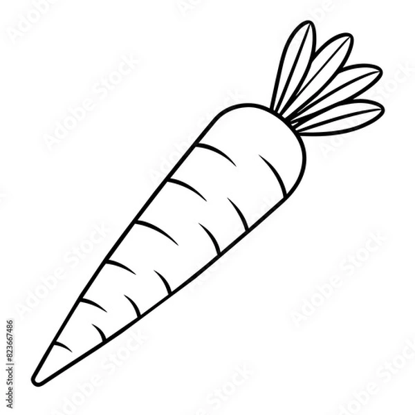 Obraz feather, carrot