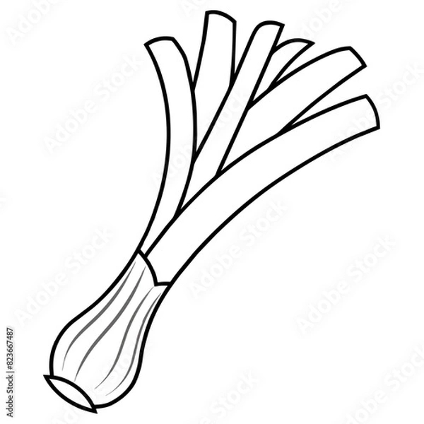 Obraz onion isolated on white, leek, vector illustration icon