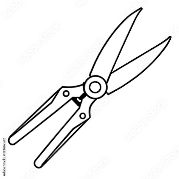 Obraz scissors isolated on white background