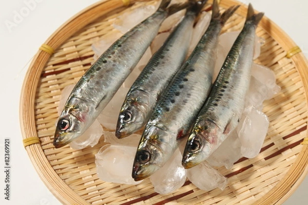 Fototapeta イワシ