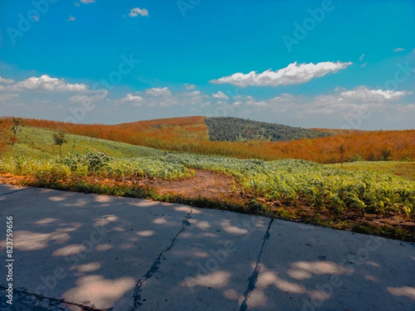 Obraz autumn in the mountains