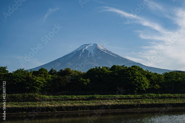 Obraz 農村公園からの富士山