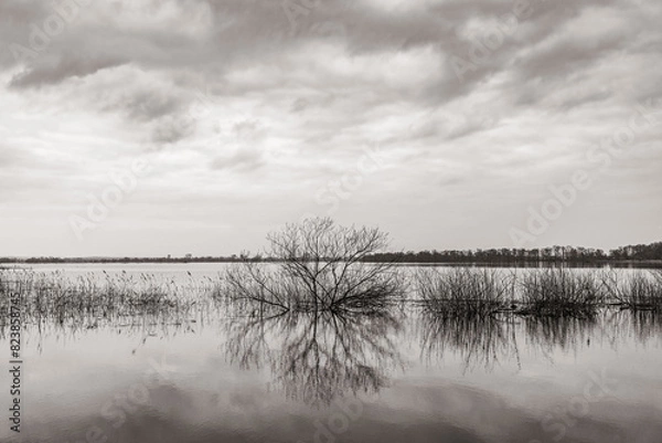 Obraz Hochwasser an der Oder