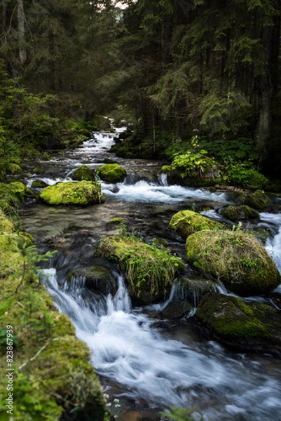 Fototapeta waterfall in the forest