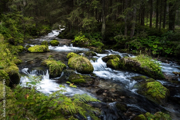 Obraz waterfall in the forest