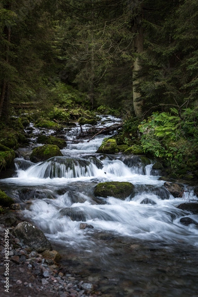 Obraz waterfall in the forest