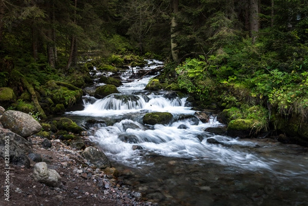 Obraz waterfall in the forest