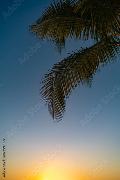 Fototapeta A tranquil view