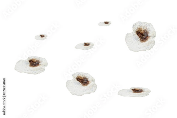 Fototapeta Bird droppings - on isolated transparent background.