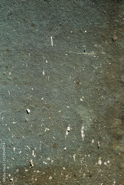 Obraz rain drops on the ground