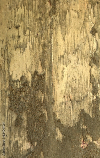 Obraz old texture