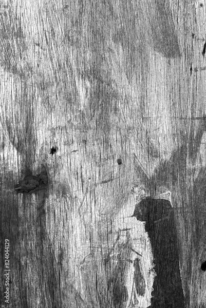 Obraz old wood texture