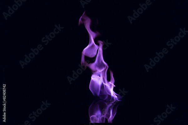 Fototapeta Purple flames isolated