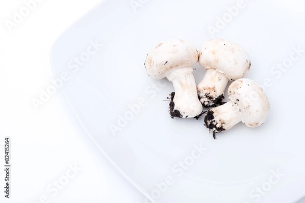 Fototapeta funghi champignon
