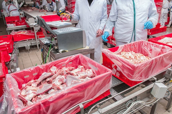 Obraz Lumps of meat in a container