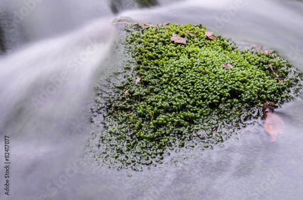 Obraz Rapids on Jizera