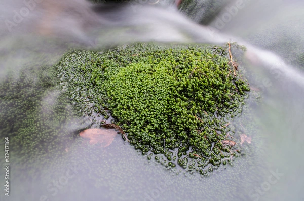 Obraz Rapids on Jizera