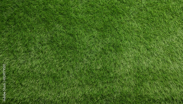 Fototapeta Seamless green grass texture