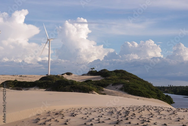 Obraz wind turbine on the beach