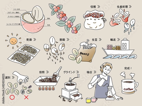 Obraz コーヒー豆の精製工程とコーヒーを淹れる男性