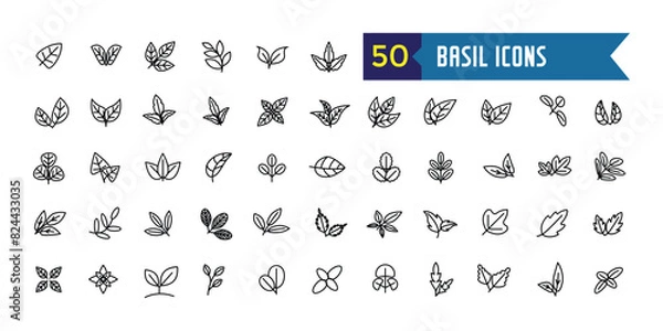 Fototapeta Basil icons set. Outline set of basil vector icons for ui design. Outline icon collection. Editable stroke.
