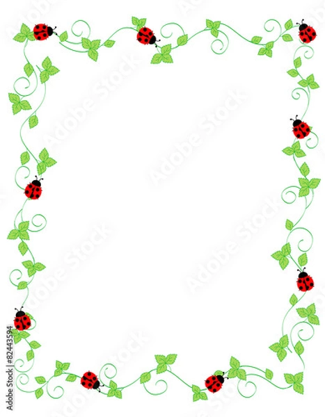 Fototapeta Ramka Bug Red Lady