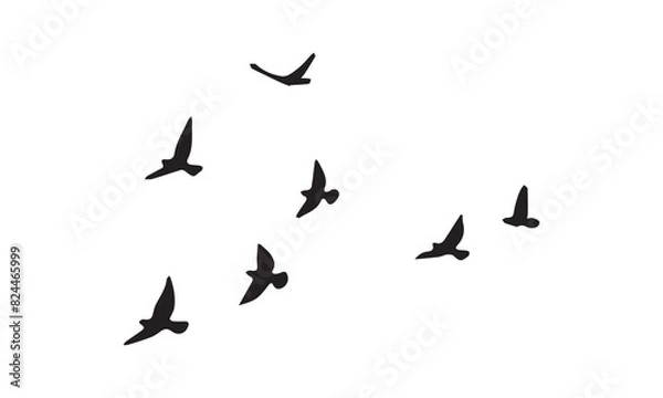 Obraz Flying Birds Vector And Illustration. 