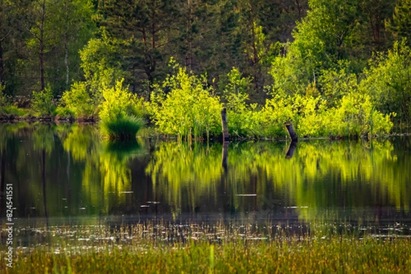 Fototapeta Nad wodą