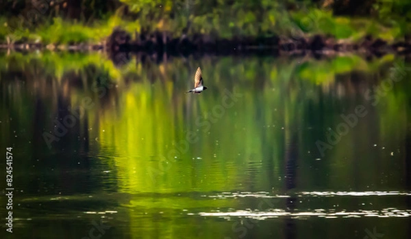 Fototapeta Nad wodą