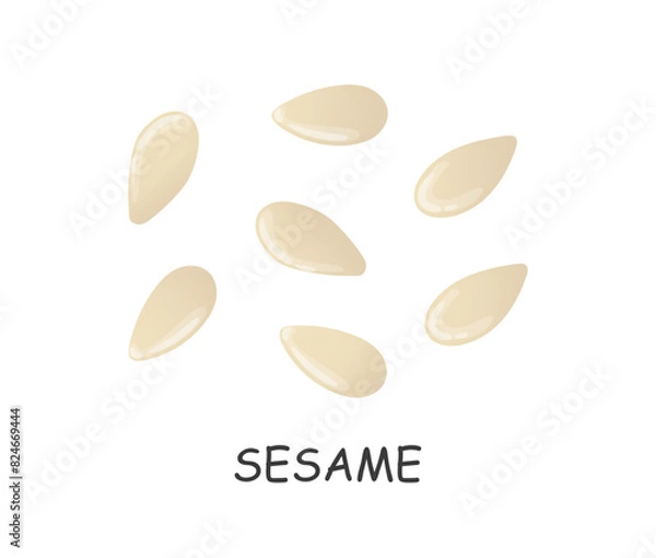 Fototapeta hand drawn sesame seeds in cartoon style
