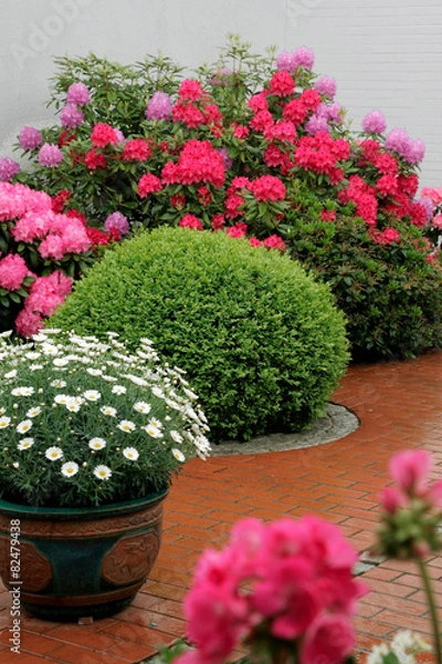 Obraz GartenBlumenBuesche