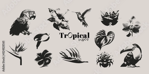 Fototapeta Tropical flowers and birds photocopy effect elements set with grunge stippling grain messy texture. Trendy y2k aesthetic vector illustration. Ideal for poster design, t shirt